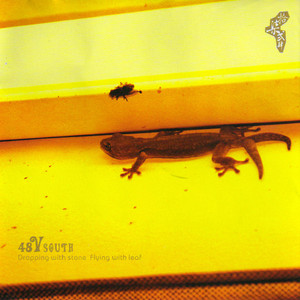 Didi cover