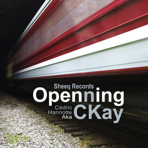 C&eacute;dric Hannotte