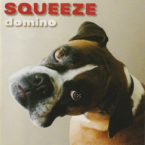 Domino album