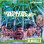 Jungle Gym Jungle Albumcover