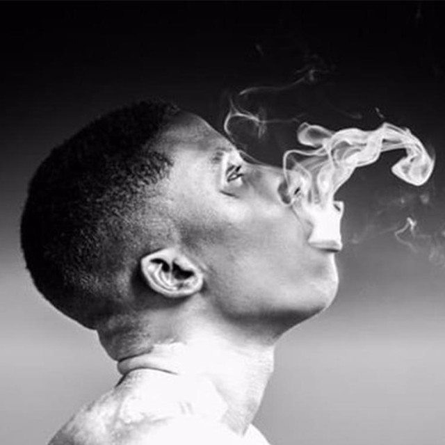 BOSH photo