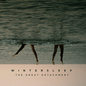 The Great Detachment cover