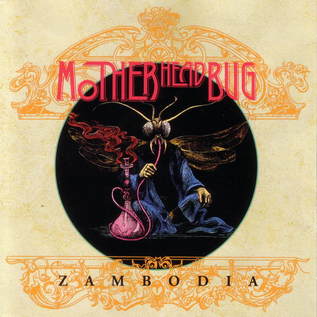 Motherhead Bug Photo