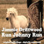 Run Johnny Run cover