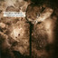 Lifestream Corrosion Albumcover