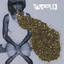 Santogold cover