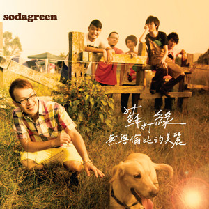 無與倫比的美麗 Albumcover