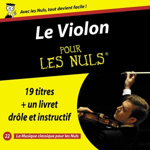 Violon pour les nuls