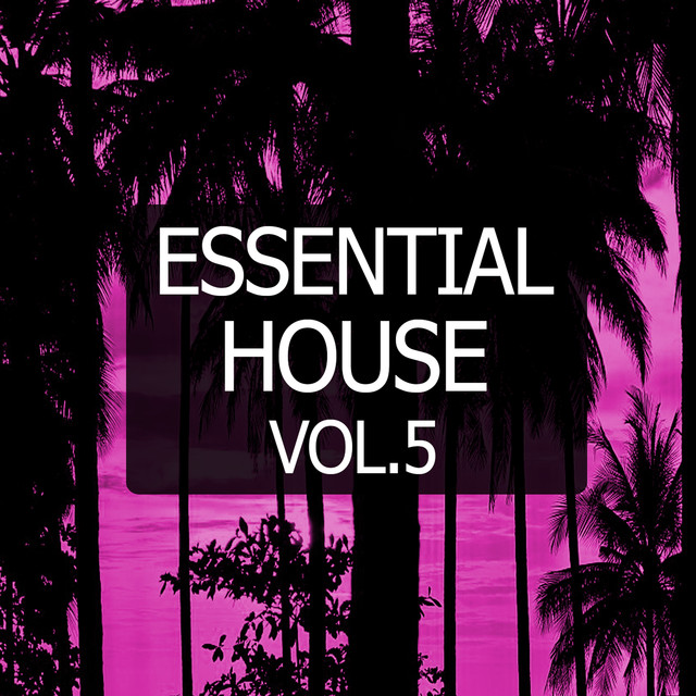 Essential House, Vol. 5