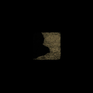 Until the Point of Hushed Support cover