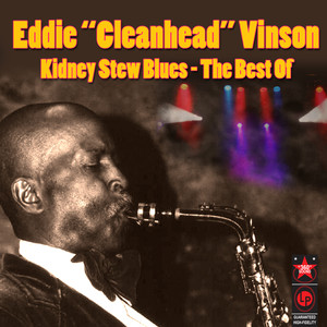 Kidney Stew Blues - The Best Of cover