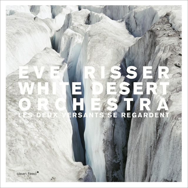 Eve Risser White Desert Orchestra Photo