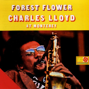 Forest Flower album