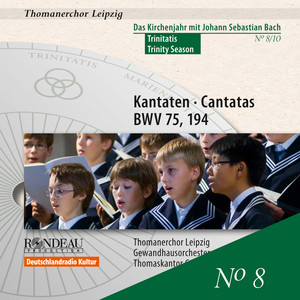 The Liturgical Year with J.S. Bach, Vol. 8: Trinity Season album