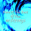 More of the Best of 101 Strings cover