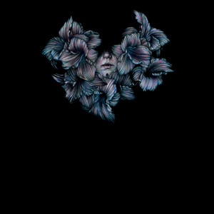 Divisi cover