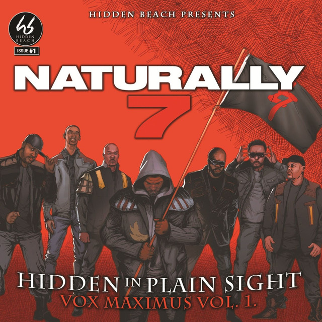 Hidden in Plain Sight Albumcover