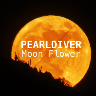 Pearldiver Photo