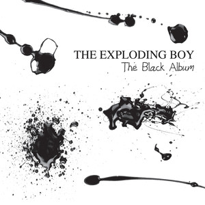 The Black Album cover