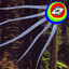 Treefight For Sunlight Albumcover