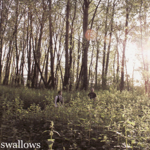 Me With Trees Towering album
