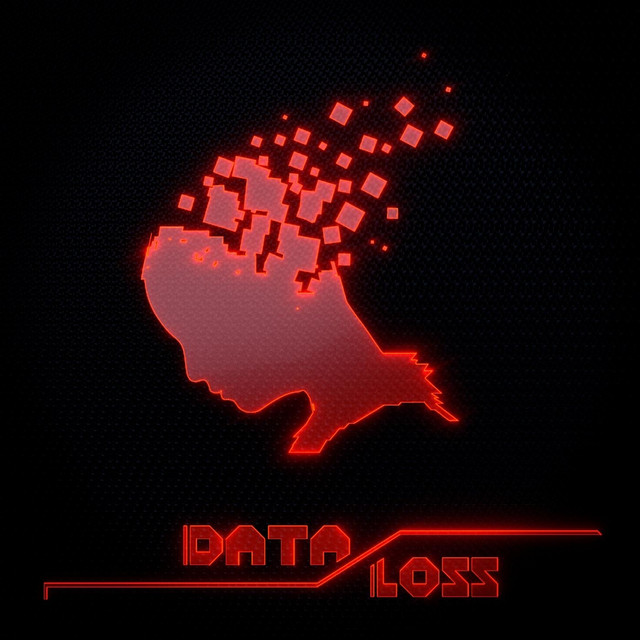 Dataloss Photo