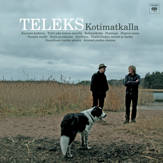 Kotimatkalla cover
