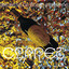 Claret(Best Of Compilation) cover