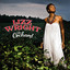 The Orchard cover