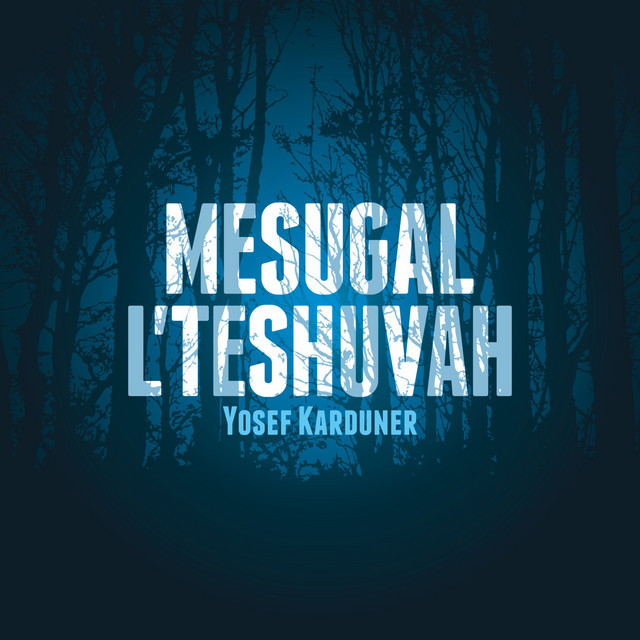 Yosef Karduner Photo