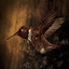 Keep Humming Bird Albumcover