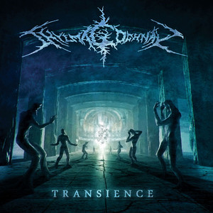Transience cover