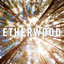 Etherwood cover