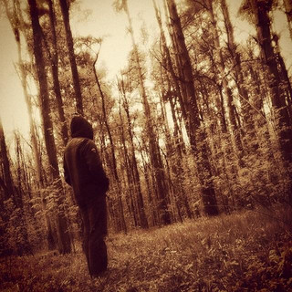 Skyforest Photo