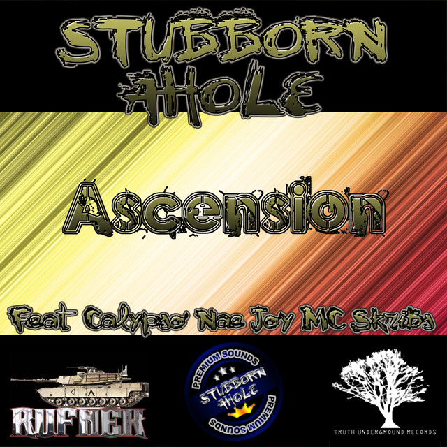 Stubborn Ahole Photo