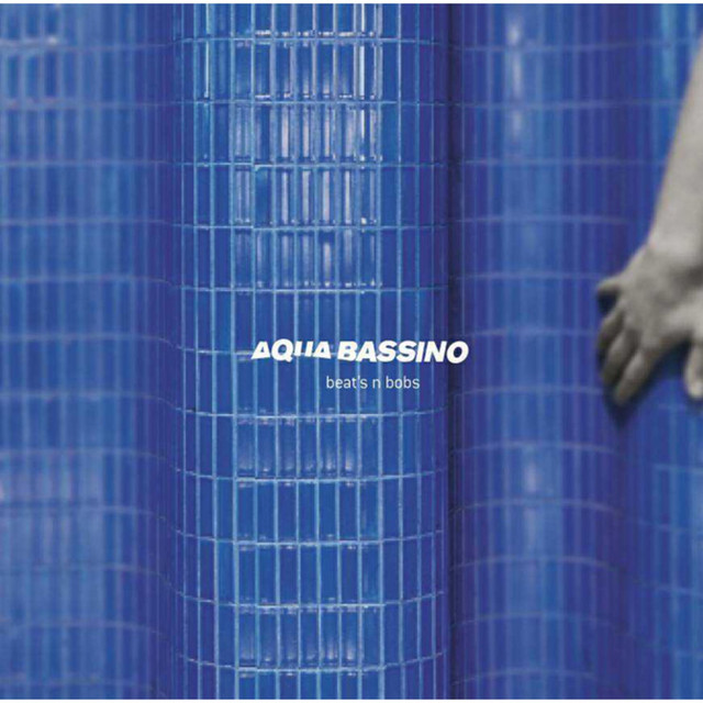 Aqua Bassino Photo