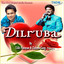 Dilruba cover