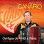 Cantigas De Amor A Viana Albumcover