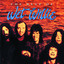 The Best of Wet Willie cover