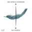 Toru Takemitsu in Memoriam Albumcover