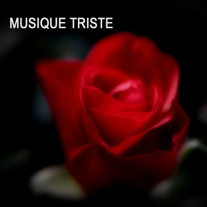 Acad&eacute;mie Musique Instrumentale