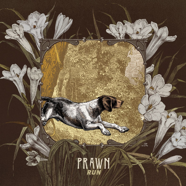 Run cover