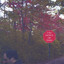 It Wuz & Still Iz Late Octobra Albumcover