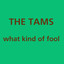 What Kind of Fool Albumcover
