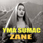 Zane cover