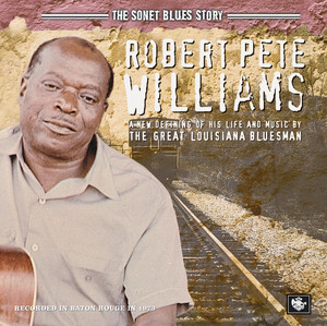 The Sonet Blues Story cover