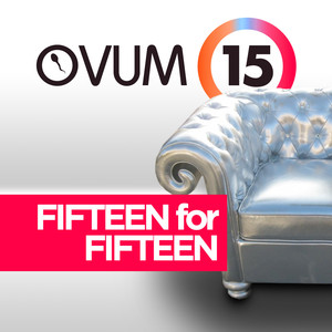 Fifteen For Fifteen cover