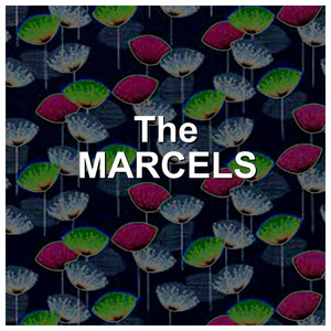 The Marcels album
