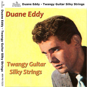 Twangy Guitar Silky Strings album