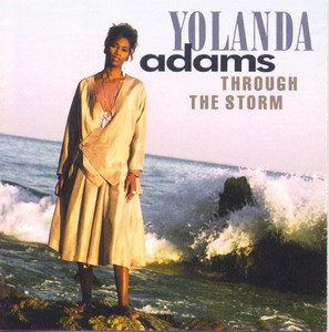 Through the Storm album